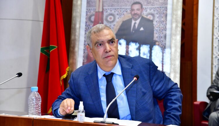  خطر الجراد الصحراوي.. لفتيت: 157 ألف هكتار تمت معالجتها واليقظة مستمرة