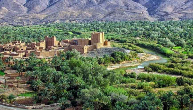  دعوات لجعل التنمية السياحية رافعة لتثمين التراث الواحي
