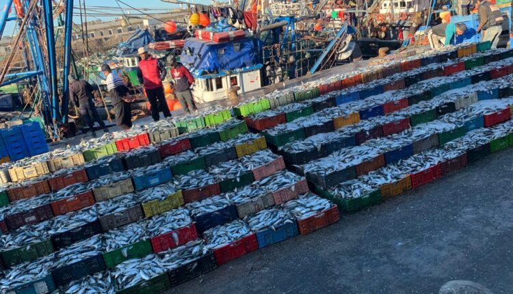  غلاء السمك يحاصر الدريوش بالبرلمان ومطالب بكشف المستفيدين من رخص الصيد