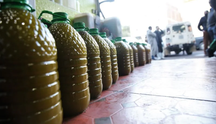  ارتفاع بـ5270%.. المغرب يصبح رابع ممون لإسبانيا بزيت الزيتون