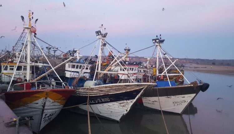  انخفاض مفرغات الصيد بـ54% بميناء المهدية
