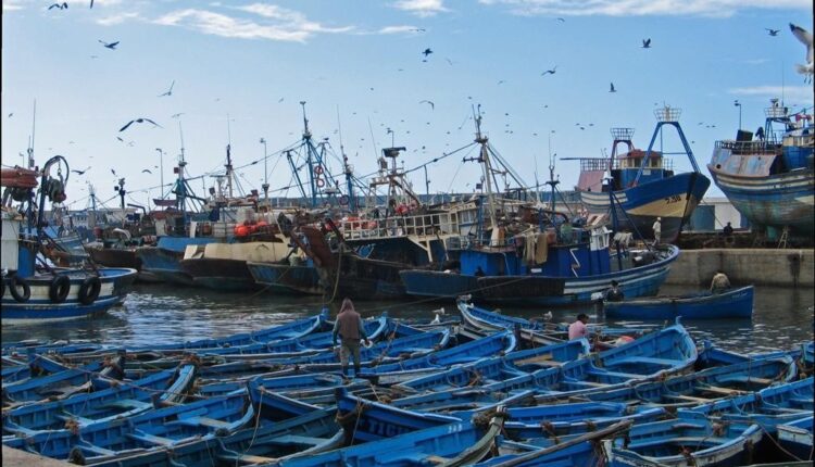  تراجع مفرغات الصيد بـ23% بميناء بوجدور
