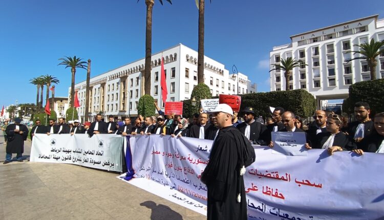  المحامون يحتجون أمام البرلمان تزامنا مع القراءة الثانية لقانون المهنة