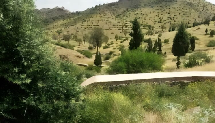  قلعة السراغنة.. منتزه الساقية اليعقوبية فضاء نموذجي لصون التنوع البيولوجي