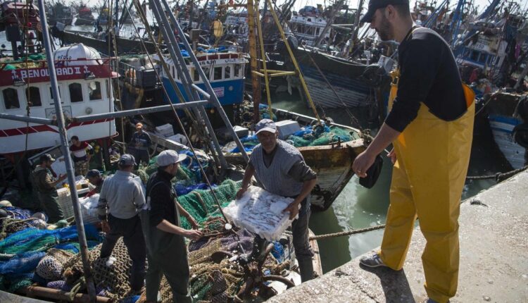  ارتفاع بـ38% في مفرغات الصيد بميناء الصويرة