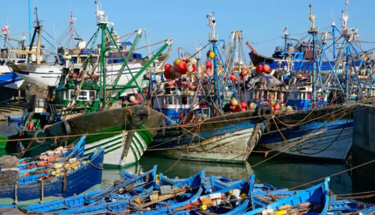  ميناء الصويرة: ارتفاع مفرغات الصيد البحري بـ38%