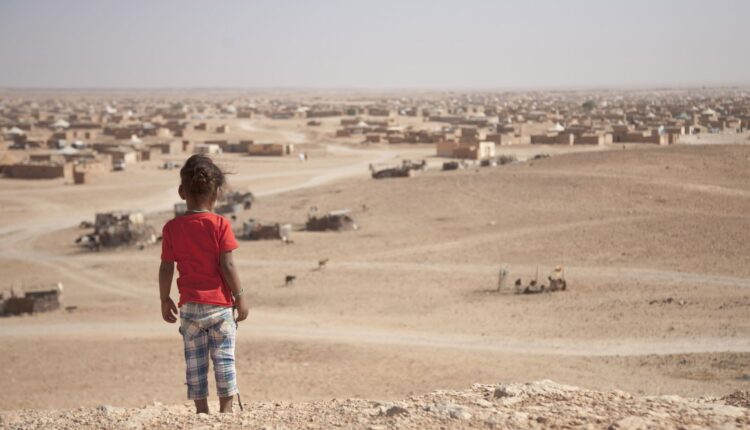  منظمة دولية تحذر من استغلال الأطفال الصحراويين تحت غطاء المبادرات الإنسانية