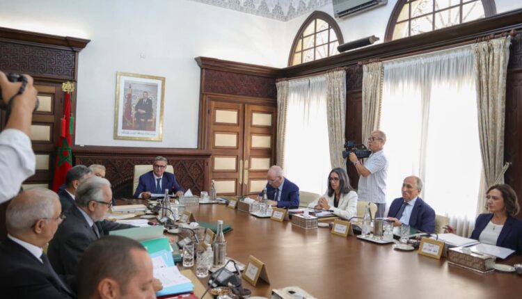  عاجل/ مصدر بامي: لهذا السبب غابت المنصوري وبنسعيد ولقجع عن أخر مجلس للحكومة