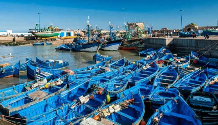  غرفة الصيد المتوسطية تحذر الحكومة من تداعيات شلل مراكب الصيد بالشمال