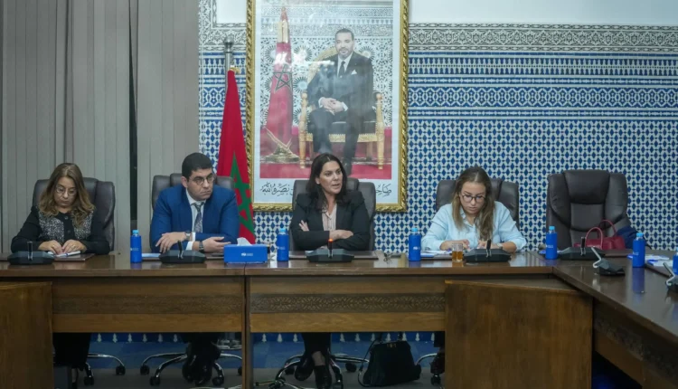  “البام” يشيد بكفاءة المنصوري ويكلف كودار بتنسيق مُقترحات تجويد القوانين الانتخابية